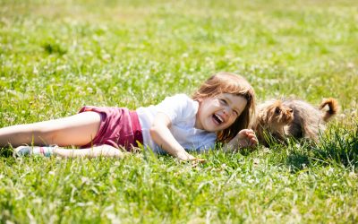 Césped para toda la familia. También para las mascotas