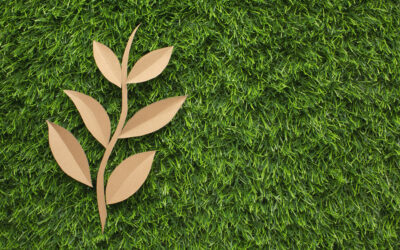 Sostenibilidad del césped artificial: beneficios medioambientales
